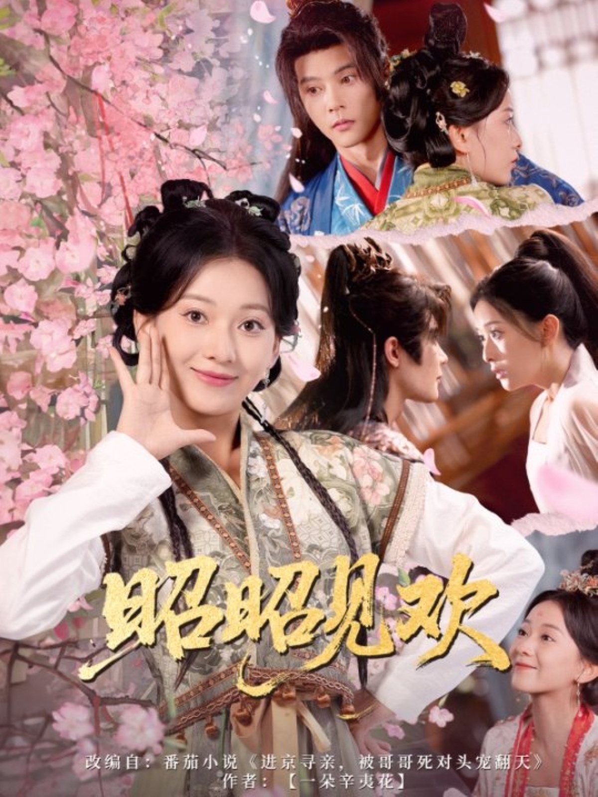 昭昭见欢(全集)